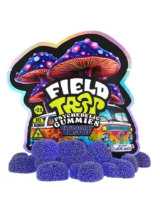 Field Trip - Blueberry Blastoff