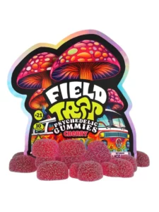 Field Trip - Cherry