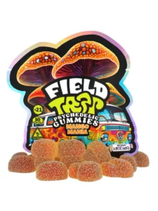 Field Trip - Mango